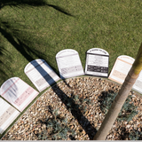 Designer Pool CPR Safety Sign | Arch | Black