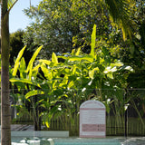Designer Pool CPR Safety Sign | Arch | Pink
